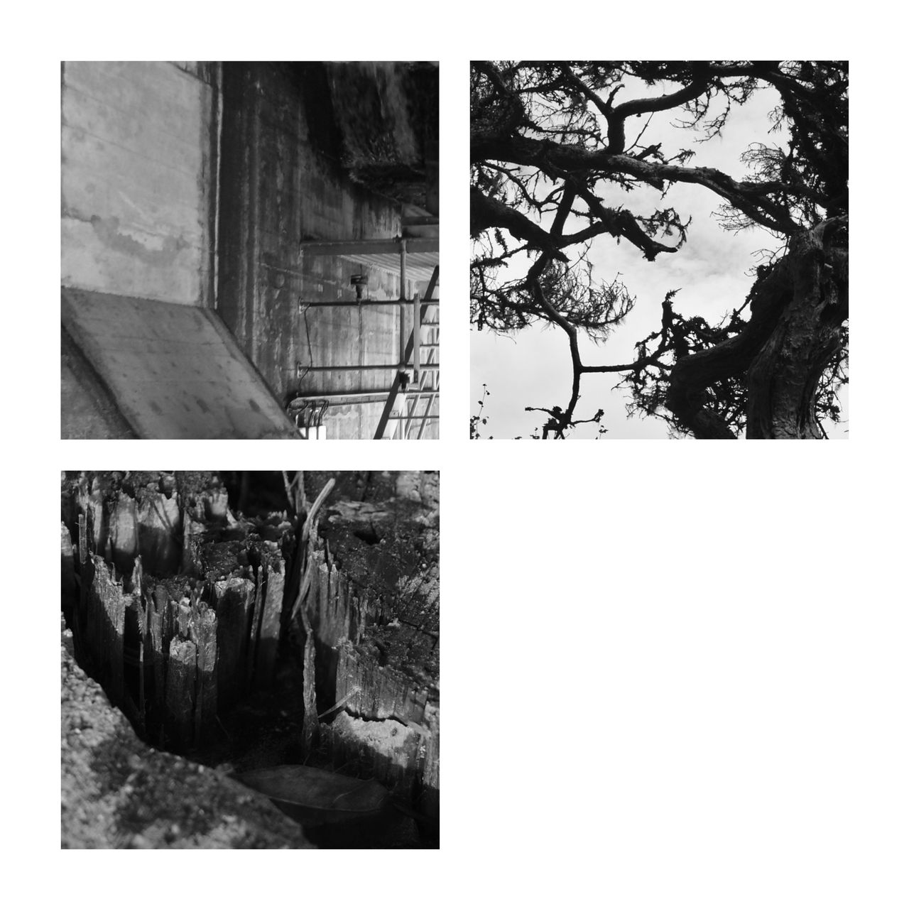 Cover for the album 'Coordinates' by REAE. Three black and white pictures (trees, wood, concrete) on white background.