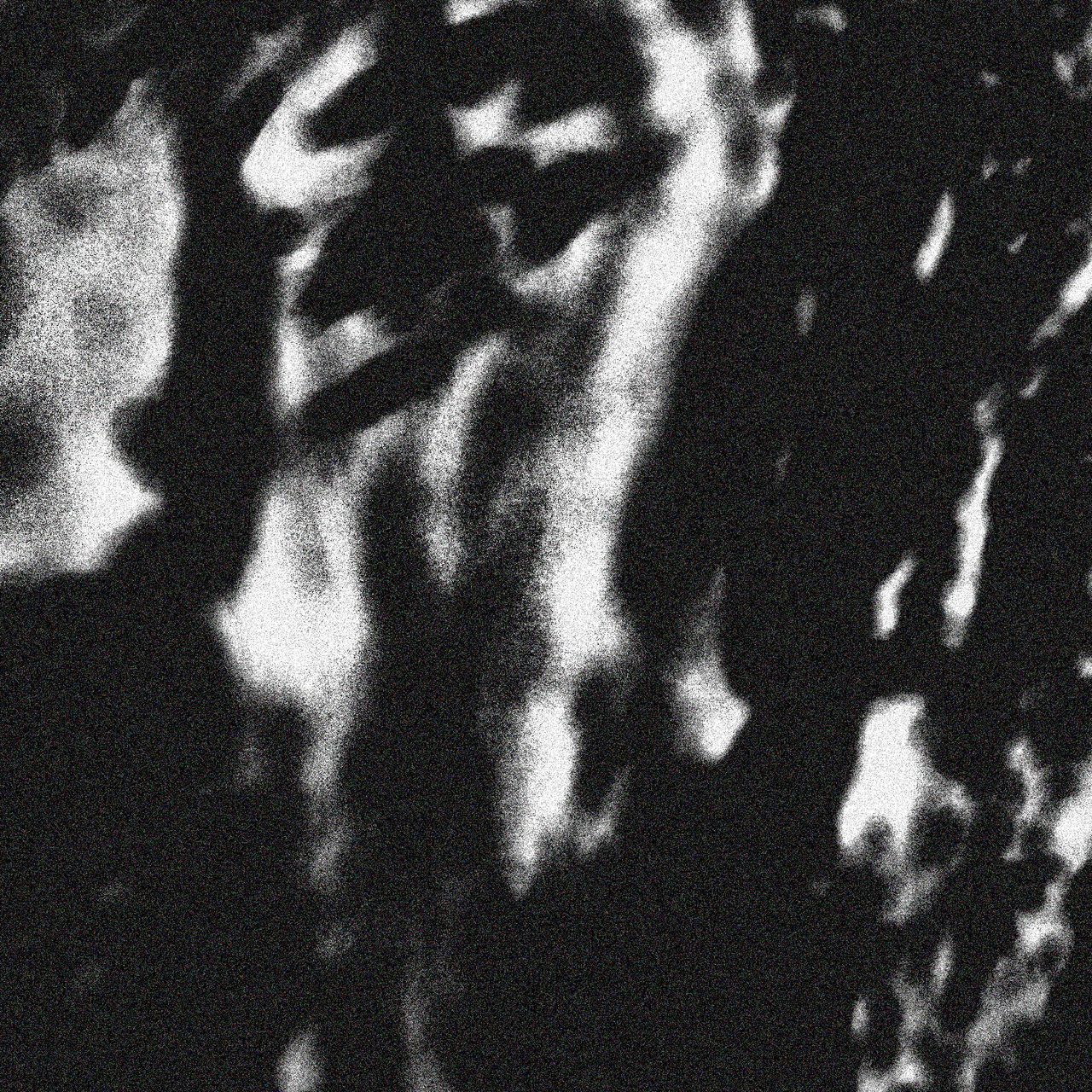 Cover for the release "sonocculto 1", by REAE. Black and white, noisy picture. Source unknown.